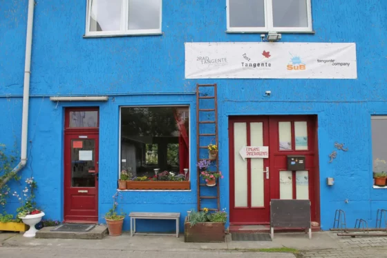 The picture shows the exterior façade of the Tanztangente building. Bright blue façade, white guttering, burgundy door frames. A brown ladder leans against the wall of the building, to which three flower pots with yellow, pink and lilac flowers are attached. On the door hangs a sign in the shape of an arrow and with the inscription 